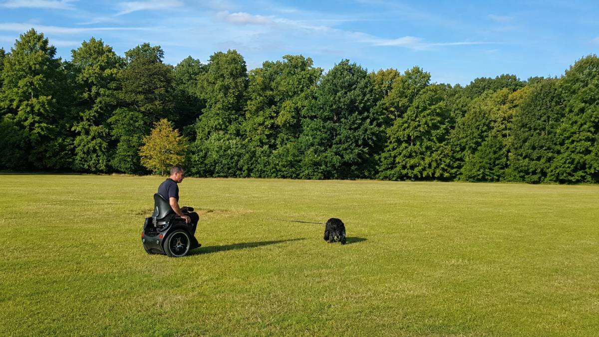 dog walk